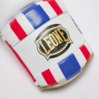 Rękawice bokserskie THAI STYLE Leone -14oz - 5